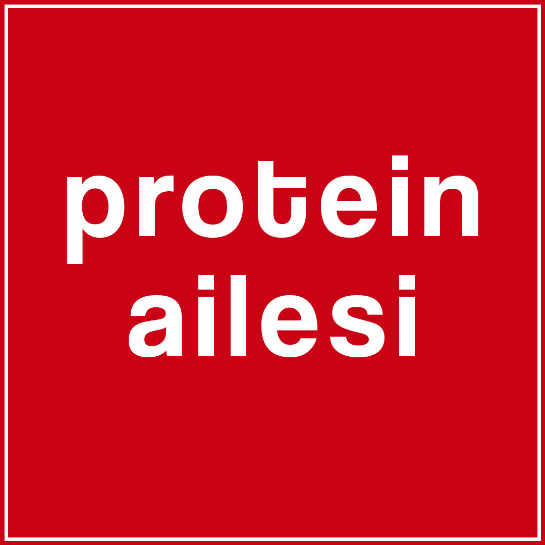 Protein Tozları