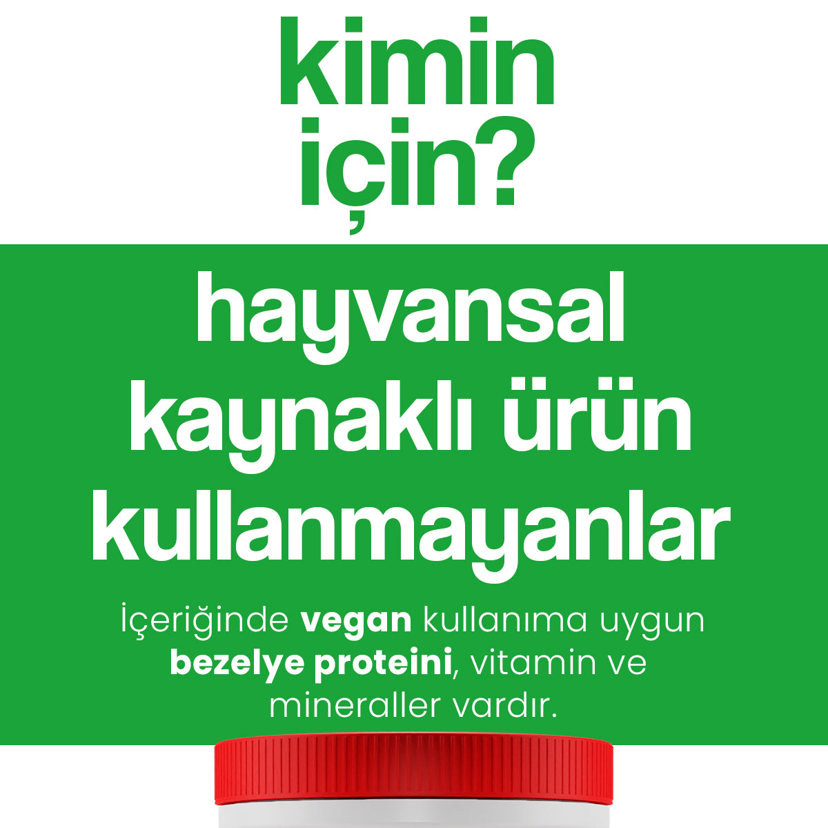 Hellobari ProteGreen | Vegan | Bezelye Proteini | Vitamin Mineral | 28 Porsiyon - Hellobari